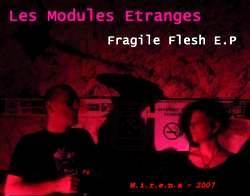 Les Modules Etranges : Fragile Flesh